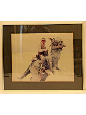 The Empire Strikes Back 1980 Mark Hamill Framed Lithograph